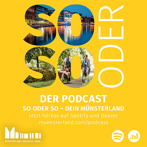 Podcast Cover_Steinweg_Luxteufelswild für Münsterland e.V.