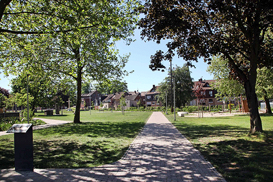 Blick in den Olfener Stadtpark; Foto: WK für Stadt Olfen