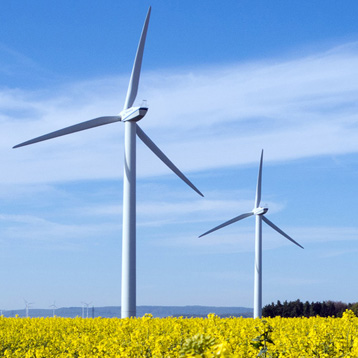 Umwelt und Klimaschutz